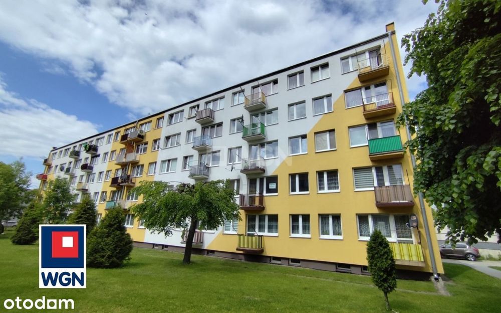 Zdjęcie 7