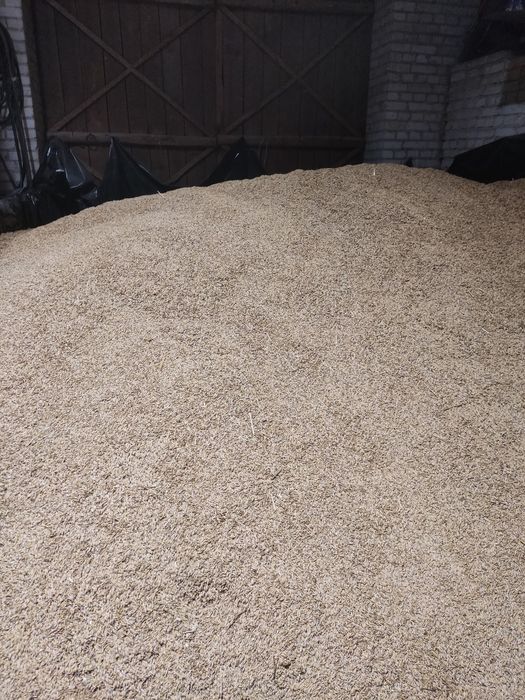 Owies jary Bingo  2025