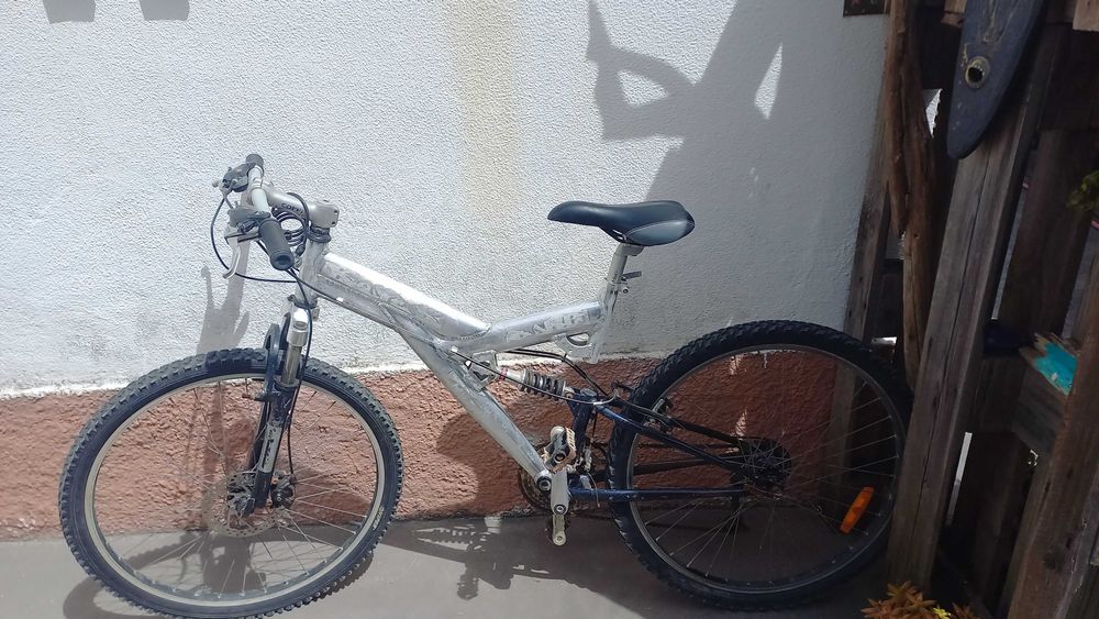 Bicicleta adulto