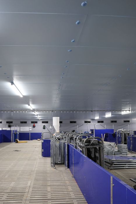 Izolacja Tuczarni Podsufitka Podbitka Sufit Strop Styrodur XPS AGRO