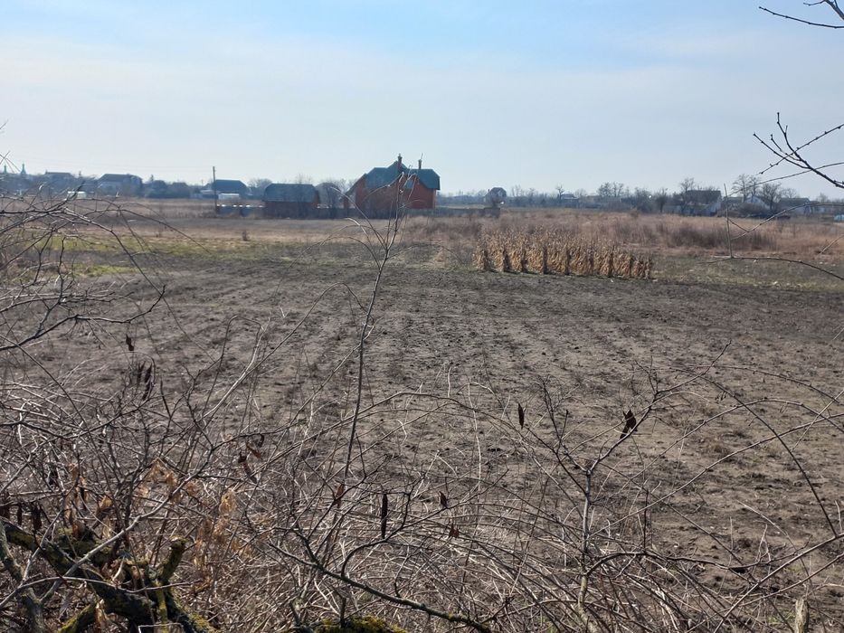 Продам земельну ділянку в с.Іванків