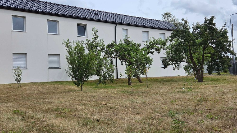 Do wynajęcia budynek mieszkalny. 50 miejsc.