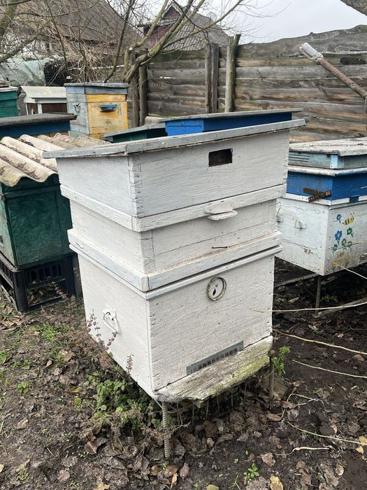 вулики без бджіл