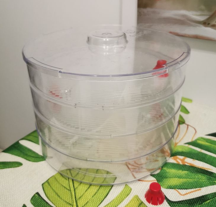 Kiełkownica 3 poziomy, plus kiełki