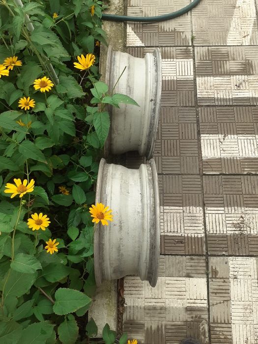 Два диска от рено