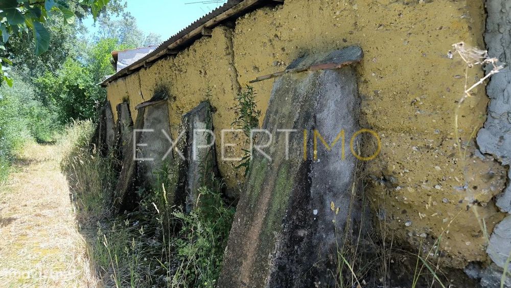 Moradia para reconstrução Matosos, Pelariga, Pombal