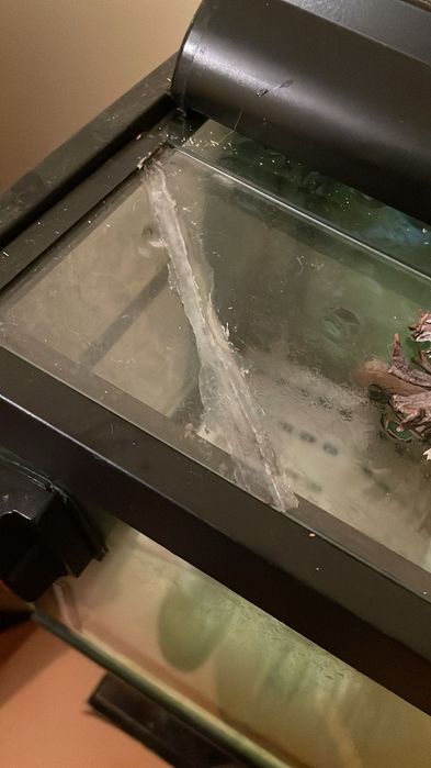 Aquário com um metro de comprimento (120 litros de água