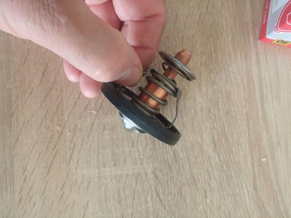 Термостат рабочий.