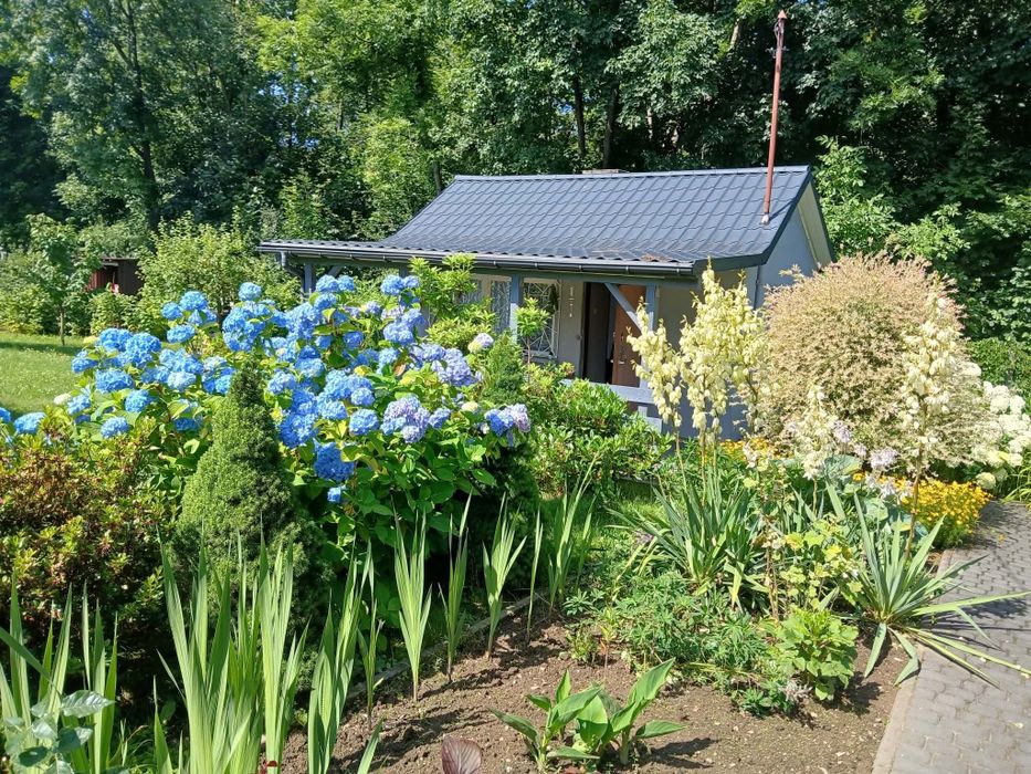 Sprzedam działkę rekreacyjną Ul.Daliowa 23 Bielsko-Biała - Widok 5
