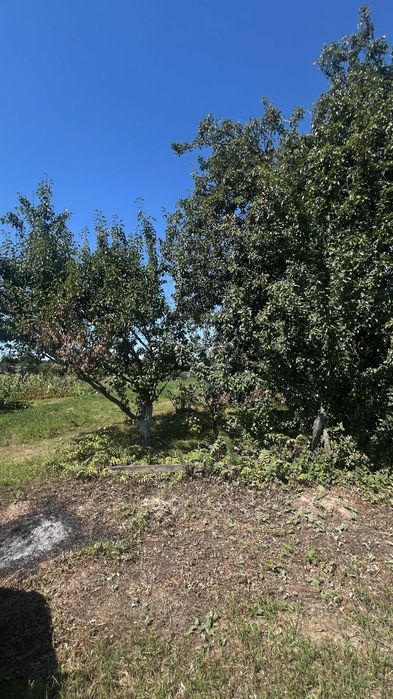 Земельна ділянка 24 сотки з свердловиною Шевченкове Броварський район