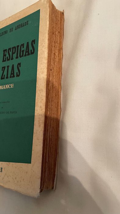 Livro Sete Espigas Vazias