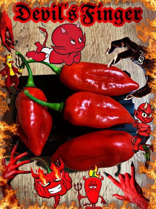Семена самых острых перцев в мире-Carolina Reaper,Bhut Jolokia,Fatalii