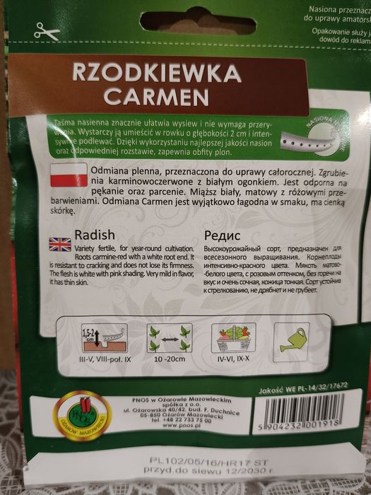 Rzodkiewka Carmen na taśmie