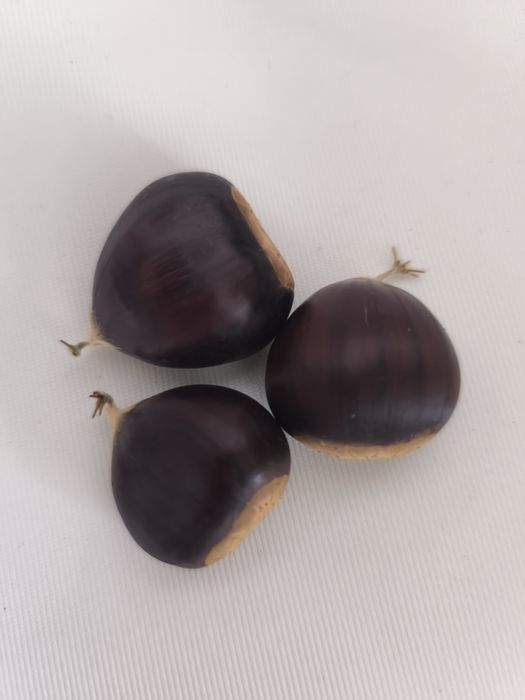 Castanhas caseiras