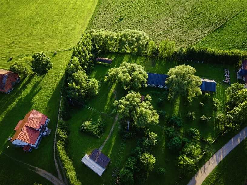 Zdjęcie 4