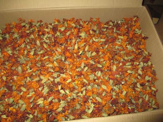 Чорнобривці квіти сушені  50 грн.