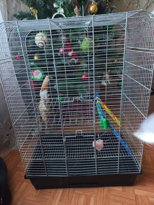 Клітка для гризунів