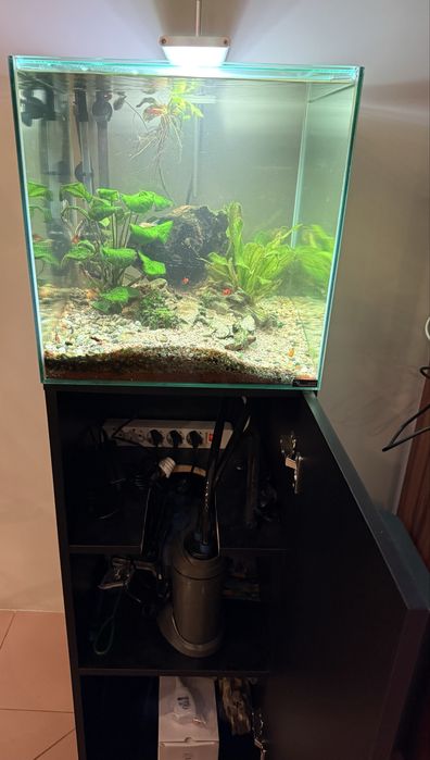 Aquario de agua quente com movel