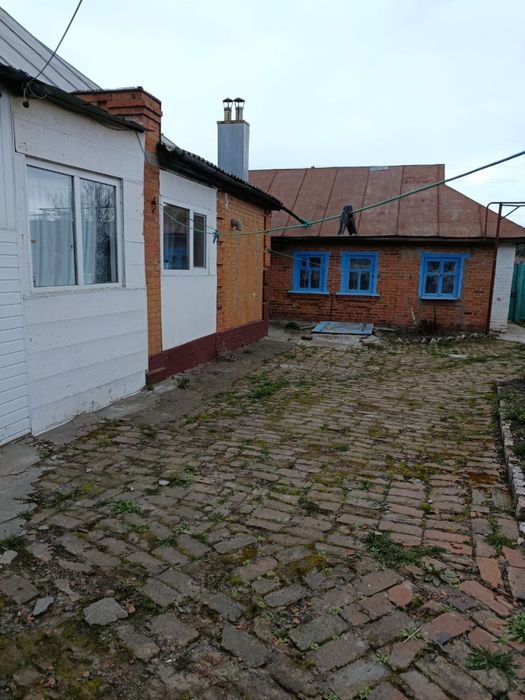 Продам будинок в центрі с. Вільшана