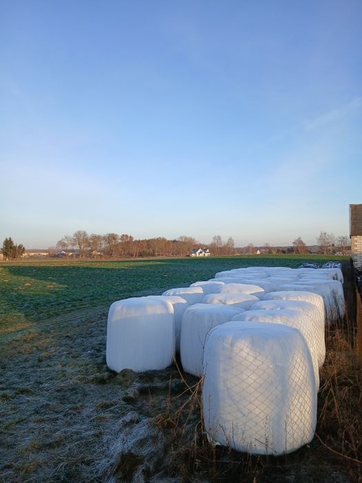 Sprzedam sianokiszonkę