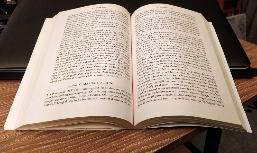 Livro 'Brain Lock'