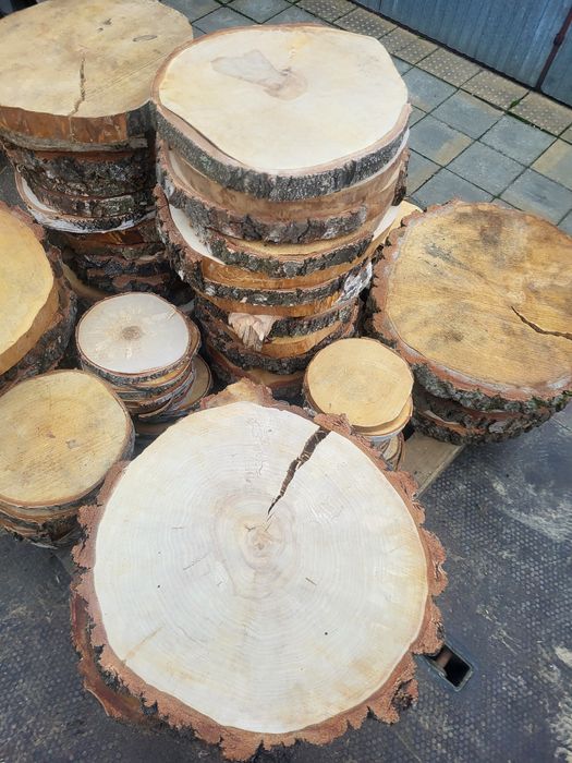 Plastry drzewa PROMOCJA ,brzozowe,podkładka ,stolik