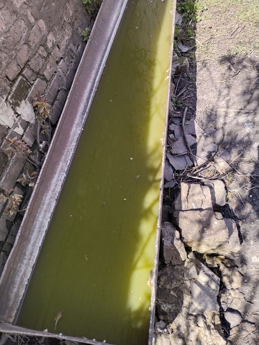 Ємкість  для води, корито для води (довжина - 6,3 м)