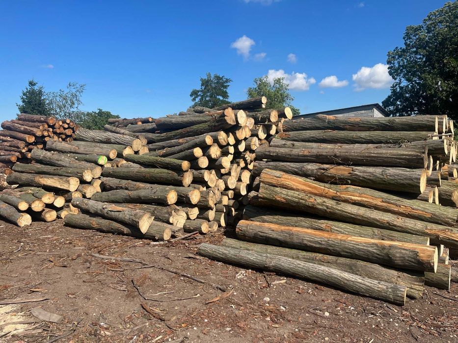 Drewno opałowe, kominkowe - wałki