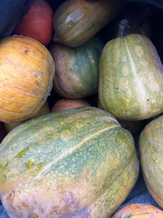 Продам гарбуз в асортименті