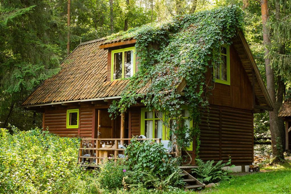 Klimatyczny leśny domek z widokiem na jezioro Gietrzwałd