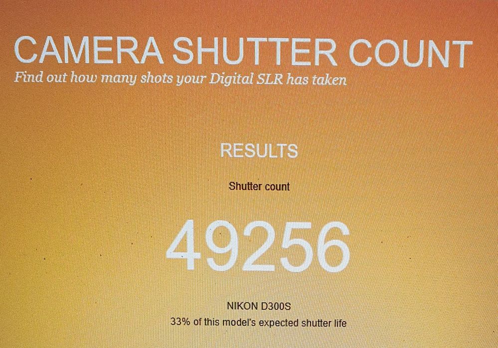 Nikon - conjunto de material fotográfico