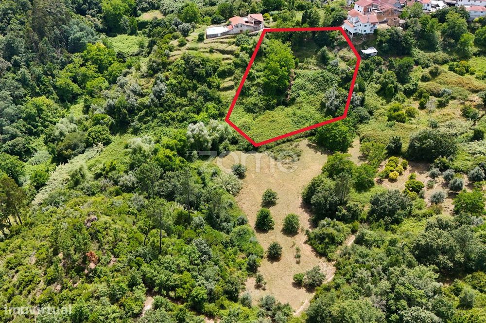 .Terreno Rustico | Bera |Almalaguês