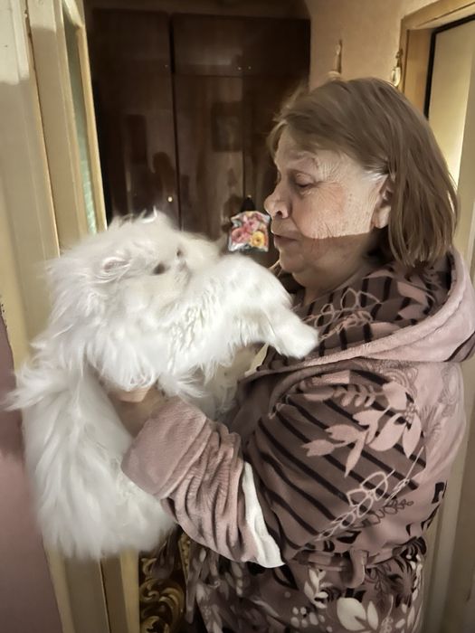 Сдаётся 1к кв Киеве 1500 грн