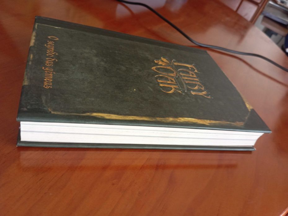 O Segredo das Gémeas - Fairy Oak