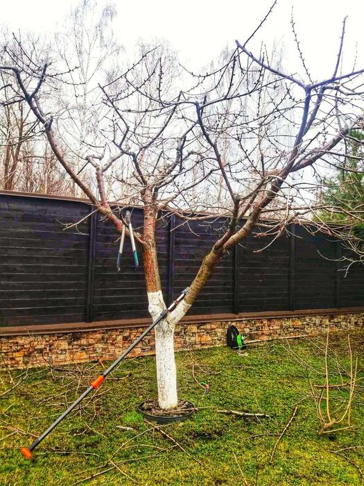 Всі послуги садівника. Бровари, Княжичі