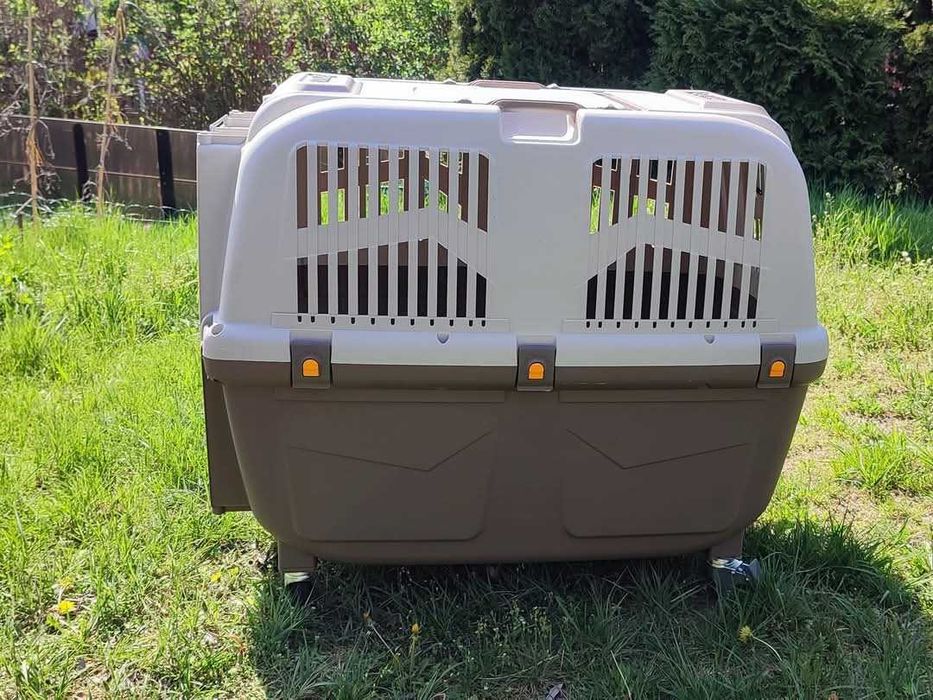 Transporter IATA Skudo 6+ kółka