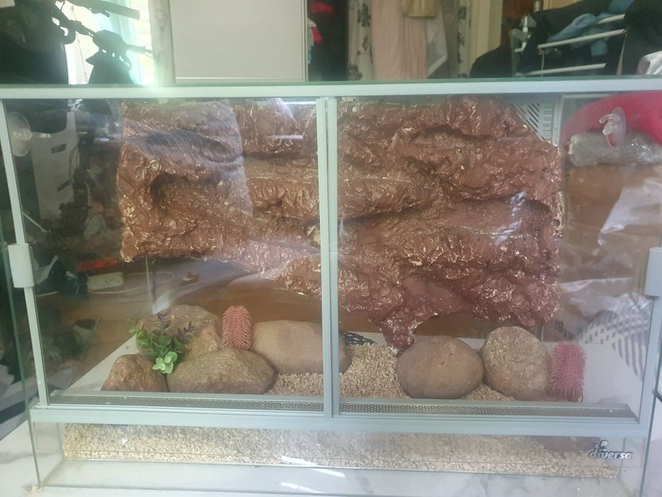 Terarium dla gadow