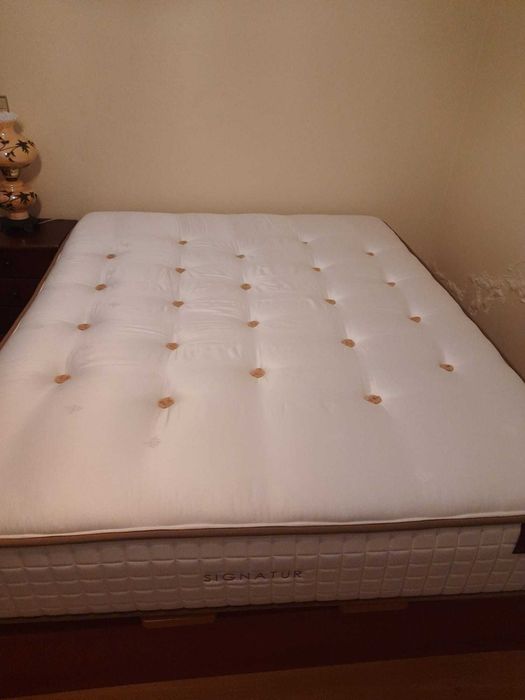 Colchão Molaflex Topo de Gama (modelo Signatur) 160 x 200 cm