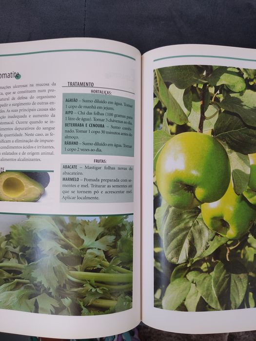 Viva Melhor Com a Medicina do Lar António J.Leal