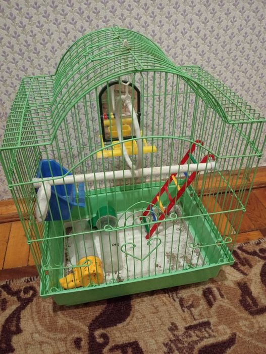 Клетка для попугаев