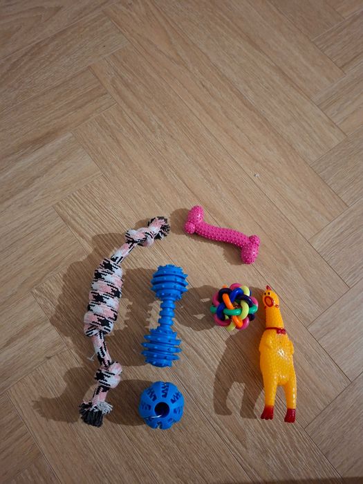 Zabawka dla psa ZESTAW 6 elementów PROMOCJA