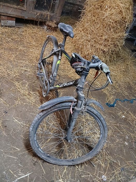 Rower r'land rama 21" koła 19"