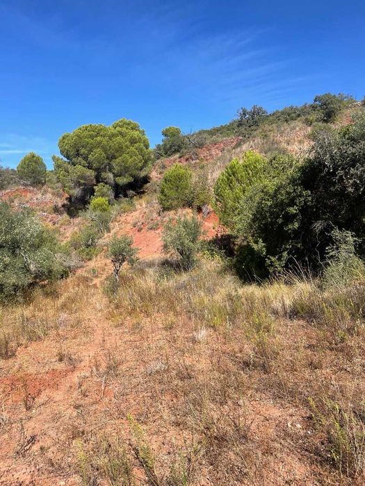 Terreno Rústico à Venda em Fonte da Benevola