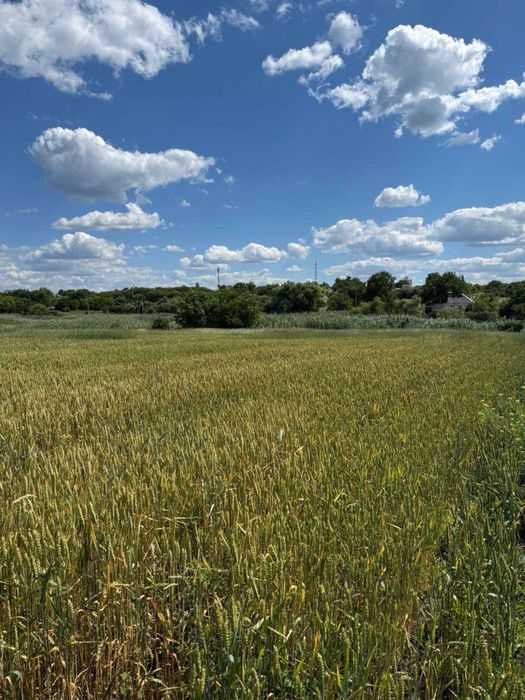 Продам приміщення с.Голубівка