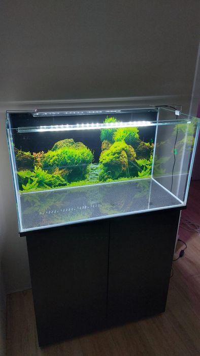 Akwarium optiwhite 145 l