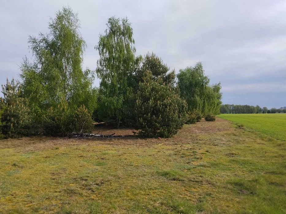 Działka budowlana w Tymianku gmina Koźminek 1100 m² do wyboru 7 z 14 sztuk. Działki budowlane Tymianek Koźminek. Woda, prąd, internet swiatłowodowy - Więcej