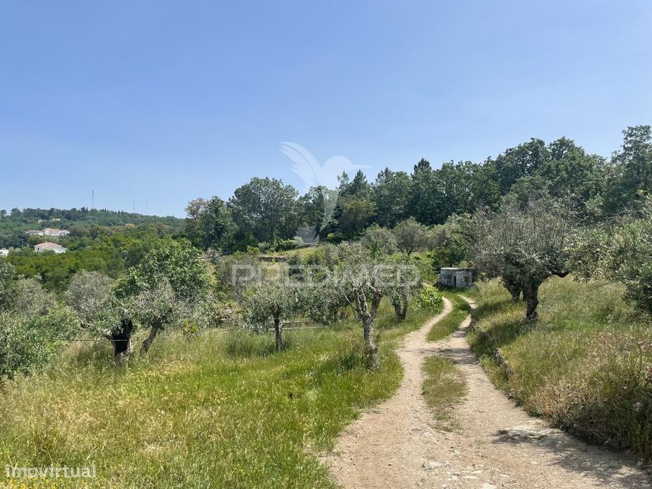 Quinta T4 no coração da Serra de S. Mamede, Portalegre