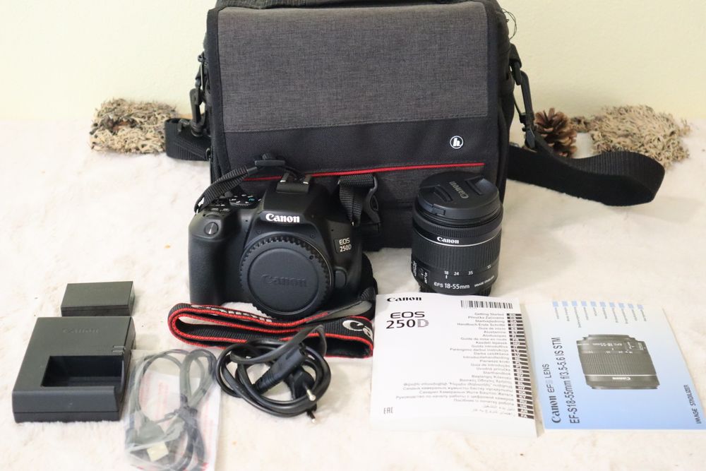 Canon EOS 250D + EFS 18-55 STM