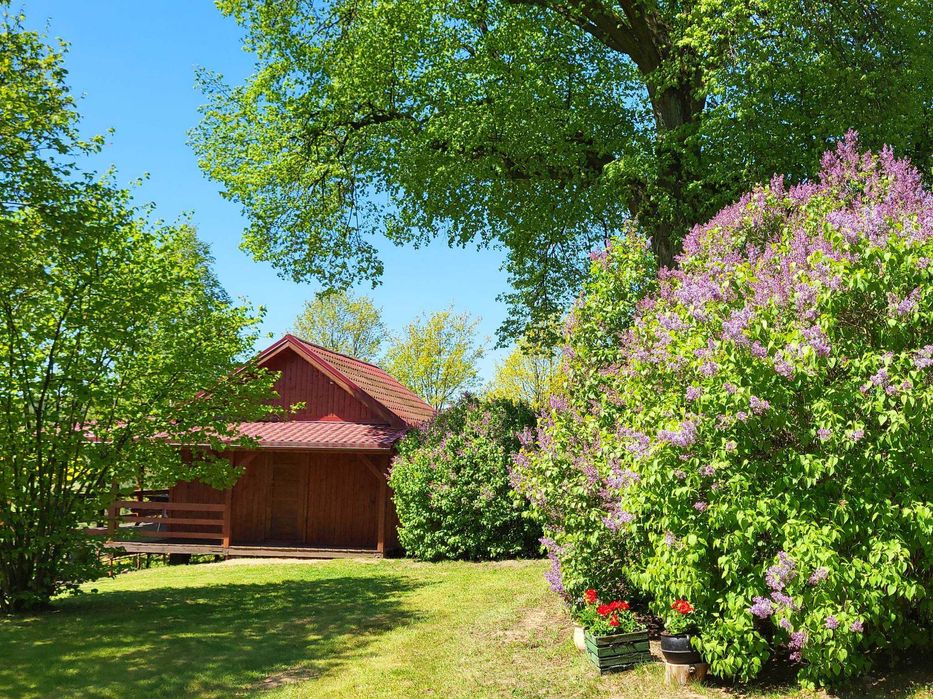 Domki letniskowe,jezioro,las,łowisko,cisza,wędkowanie