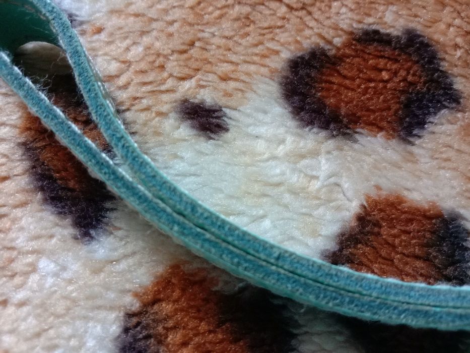 Ошейник итальянского бренда For pets only +кожаный поводок для собак